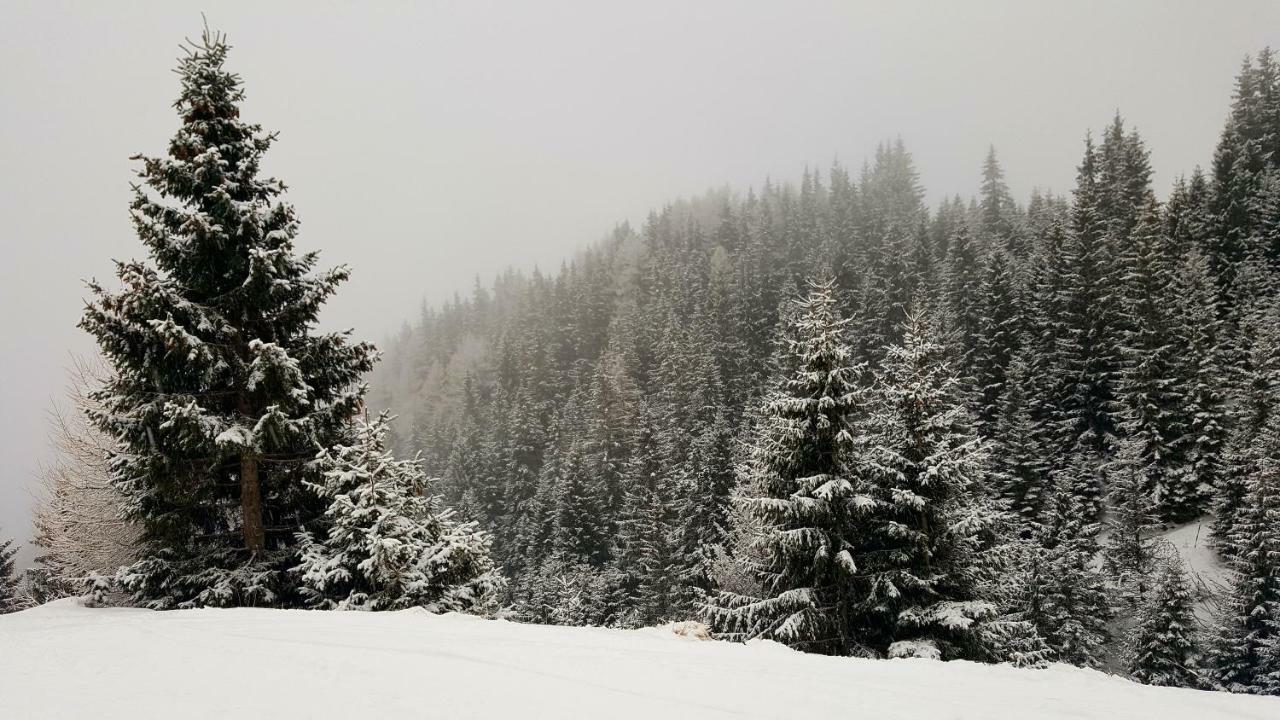 Ripsime Colina Marei Sinaia Exterior foto