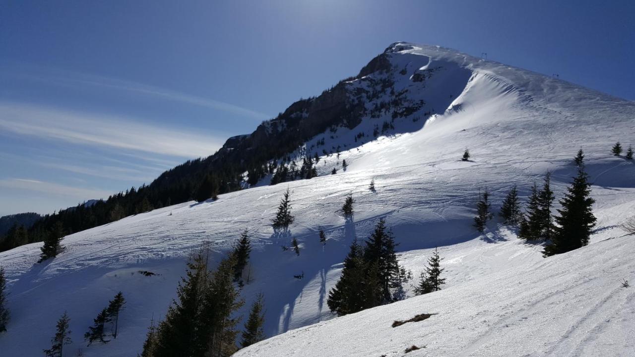 Ripsime Colina Marei Sinaia Exterior foto